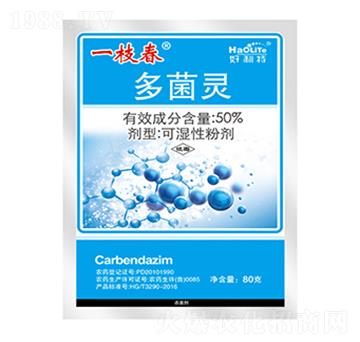 50%����`-һ֦��-