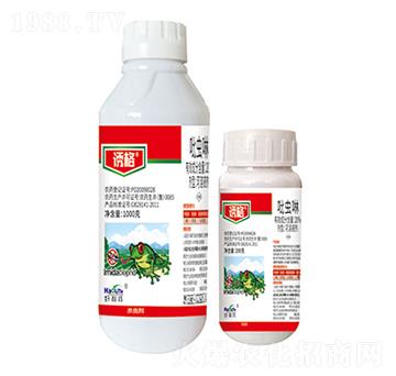 20%���x��-�T��-��