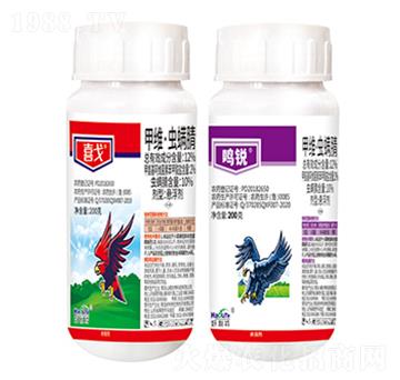 12%�׾S���x����-ϲ��-����������