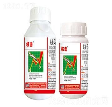 20%���ȡ��R-�˓�-