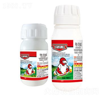 16%�׾S�����x��-��