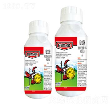 10%��x��-������߯��-����������