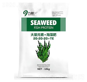 大量元素+海藻肥20-20-20+TE-九稼一