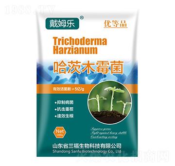 ����ľù��-��ķ��-��������