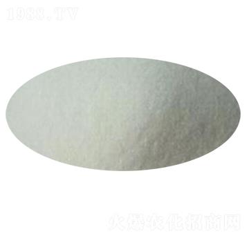 ����һ�@-׿��