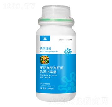 潰瘍速控-濃沺沺-天度生物