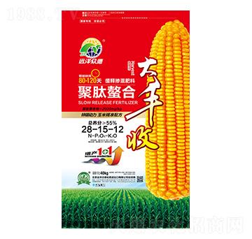 ��ጓ������28-15-12-���S��-�h(yu��n)�󱊵�