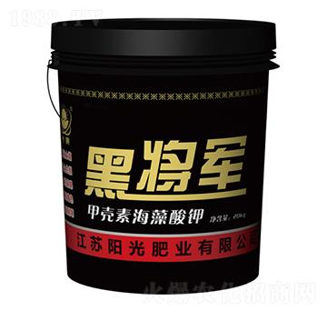 �ڌ�܊�ך��غ������-ꖹ�ʘI(y��)