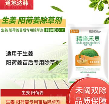 �����(y��ng)�ɽ����݄�-�����(y��ng)�ɽ����-�����(y��ng)�ɽ�����-���n