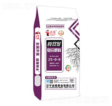 �ͺϷ���25-9-9-ݹ�p��-�؄ٷʘI(y��)