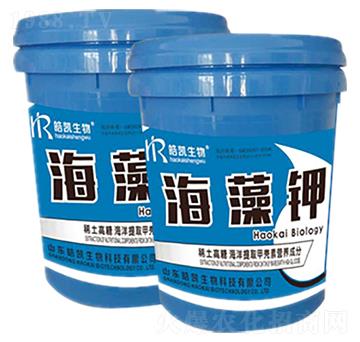 �����-�P����