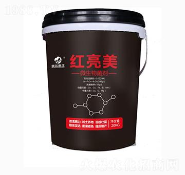 �t����΢�������-���Ӻ��f