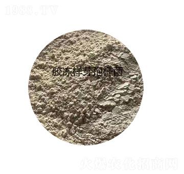 �z����ѿ�ߗU��-�P����