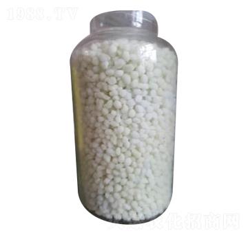 BB��ԭ��-�w�������@-��ʢ�ʘI(y��)