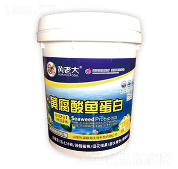 �S�����~����-�S�ϴ�-