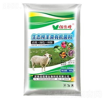 ���B(t��i)����S�ЙC(j��)��-�۱���