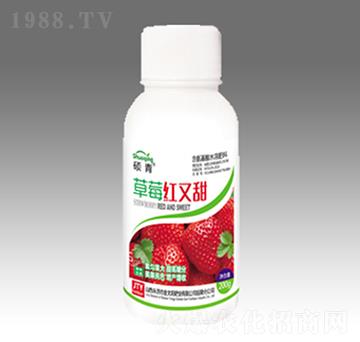 草莓紅又甜（瓶）-金太陽肥業(yè)