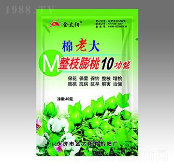 棉老大整枝膨桃10功能-金太陽肥業(yè)