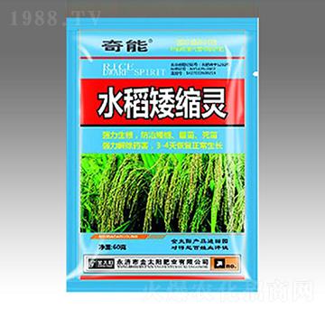 水稻矮縮靈-金太陽肥業(yè)