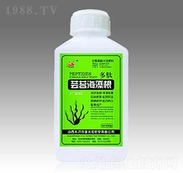 蕓苔海藻根-金太陽肥業(yè)