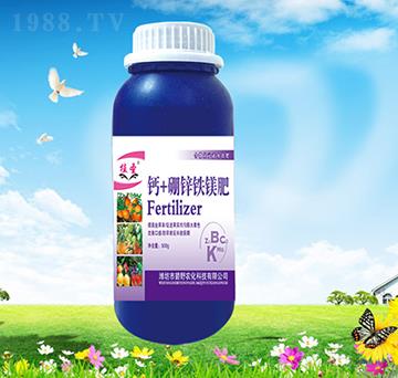 �}+���\�F�V��-ֲʥ-