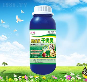 �[����ɼ��`-ֲʥ-��