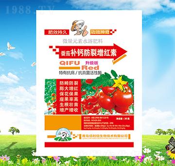 �����a�ѷ������t��-��