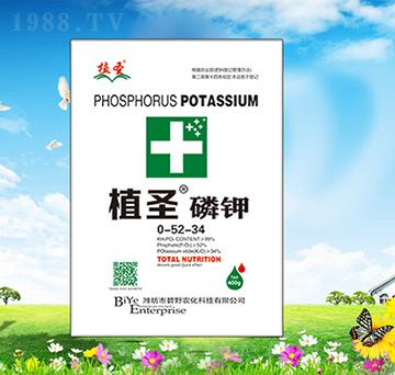 ֲʥ���0-52-34