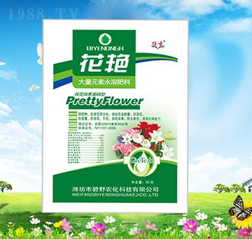 �������������ʹ���Ԫ��