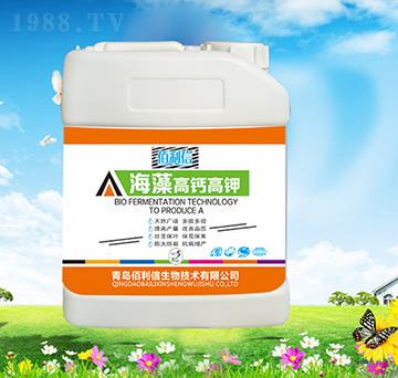 5kg������}���-��