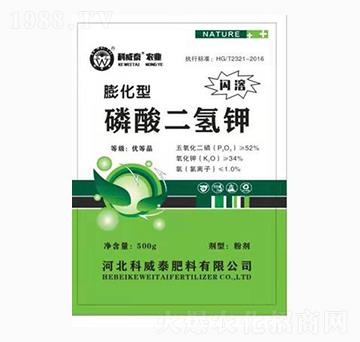 ������������-����̩