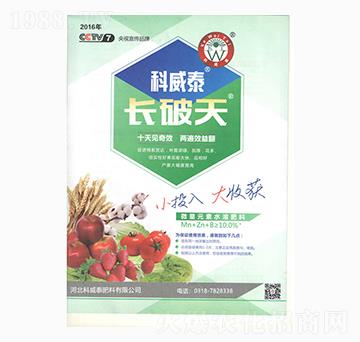 �L����-����̩