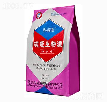 ̼������Դ-����̩