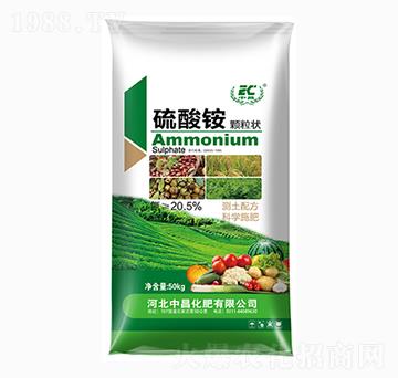 �����@�w����-�в�����