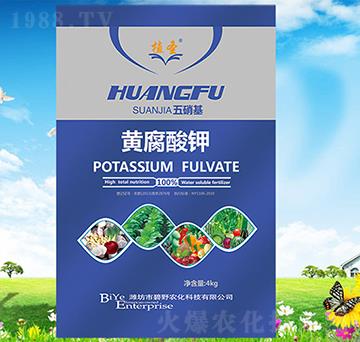 �S�����-ֲʥ-��Ұ�r(n��ng)