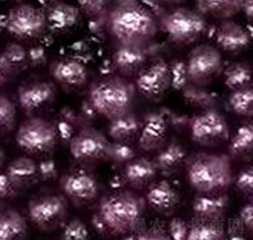 ��(sh��)֬�ЙC(j��)��-�����S