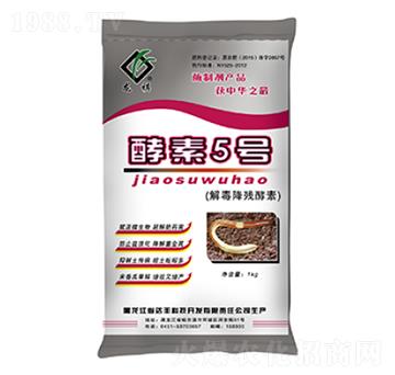 �ⶾ��������-����5̖-�_(d��)�S