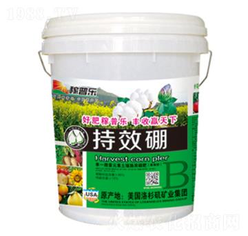 ��Ч���w����-���՘�(l��)-��(r��n)�ɷʘI(y��)