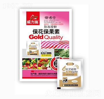 ����������-����ʩ