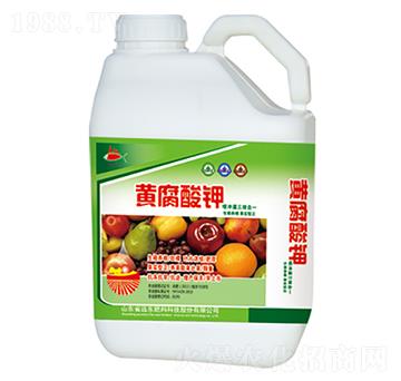 �S�����-�h�|����