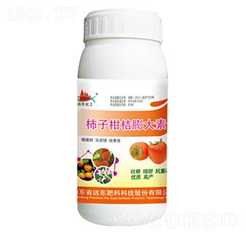 ���Ӹ̽������-�h�|����