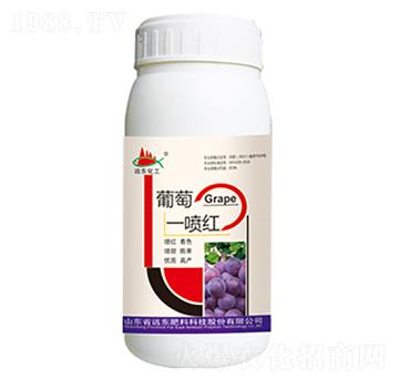 ����һ���t-�h�|����