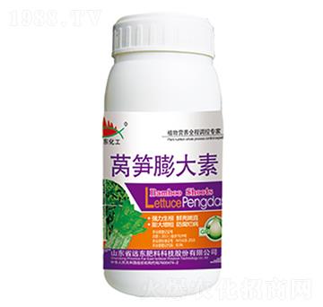 �n�S�����-�h�|����