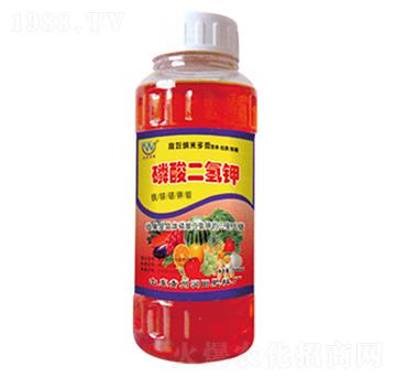 ��������-�h�|����