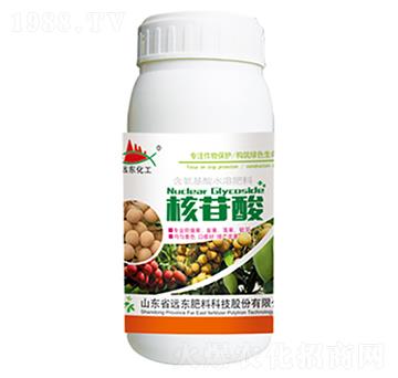 ������-�h�|����