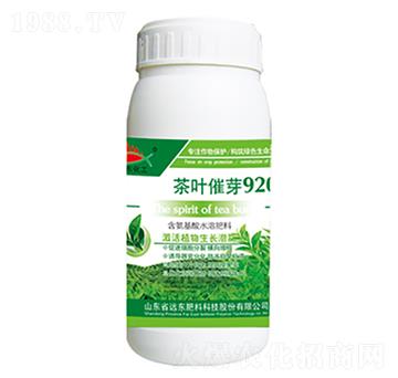 ���~��ѿ920-�h�|����