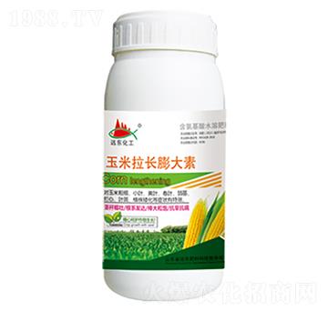 �������L�����-�h�|����