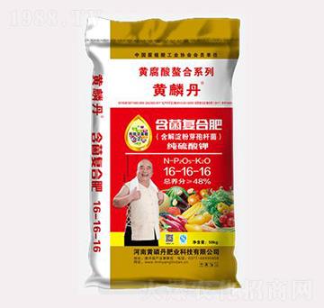 ������(f��)�Ϸ���16-16-16-�S�׵�