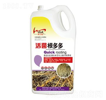 5kg��������-����