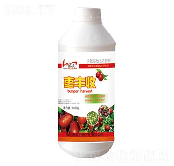 ���S��-����ʩ